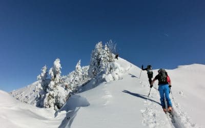 Einsteigerkurs Skitouren und Lawinenkunde auf 26.-29.01. verschoben